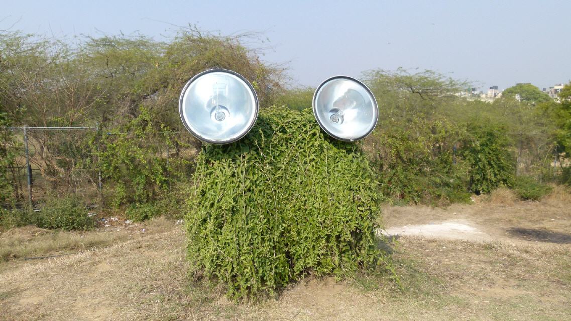 I see you - Lotustempel Delhi